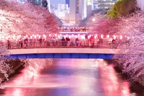 Hana House Close to Meguro River #602 - Image 5