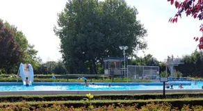 Voormalig strandhuisje in boomgaard in Hengstdijk - Image 3