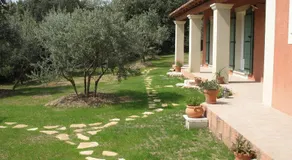 Ll POULIDETTO - Image 5