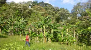 Finca Lindos Ojos - Image 5