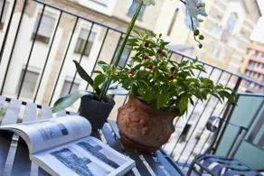 HOTEL BLUE - Image 4