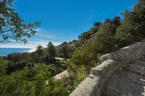 Pajara Acquaviva - Image 1