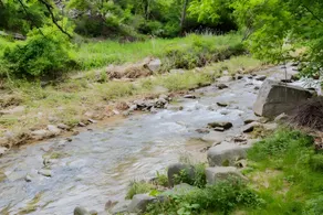 Bongpyeong Moolsori Pension - Image 3