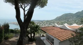 Villa Andrea - Image 4