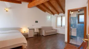 Pettirosso - Image 2