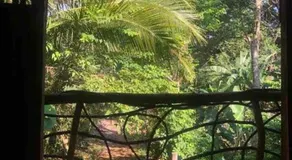 Cabina Playa Cedros - Image 4