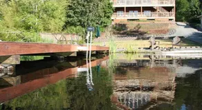 Lakefront ejendom! Privat dock! I nærheden af Mt. Rainier og NW Trek Wildlife Park - Image 4
