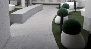 Rastro Jardines de Murillo - Image 4