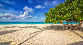 Only 350 yards from Eagle Beach! - Image 4