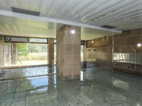 Shirakabako View Hotel - Image 5