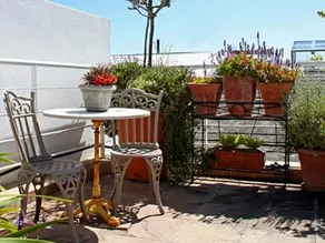 Purple House Accommodations - Image 2