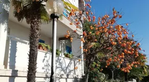 Apartments Mare Losinjska 16 - Image 3