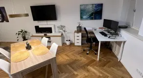 Deluxe Apartments mit Arbeitsplatz im Denkmalhaus, beste und ruhige zentrale Lage von Halle Saale WE1 - Image 4