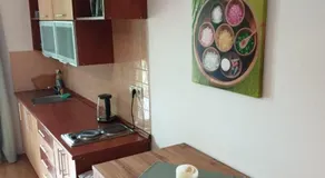 Apartman Zelezna Ruda - Image 5