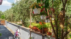 The backyard- Κατοικία στην Αγριά, Βόλου - Image 3