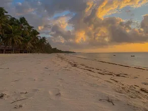 The Coconut Beach Boutique Lodge and Spa - Image 3