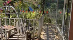 NamBanhomestay&cafe Linh Ẩn Tự - Image 2