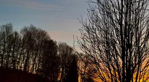 Ferienwohnung Huskyhausen - Schlittenhunde Erlebnisse & Urlaub mitten in der Natur! - Image 5