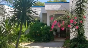 Agriturismo Palese - Image 5