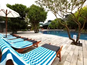 Cinnamon Wild Yala - Image 5