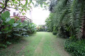 Bhuthara Resort - Image 5