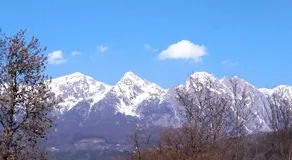 La Libellula Rossa - Image 5