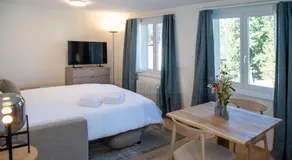 Design-Studio nahe der Piste Lenzerheide - Image 3