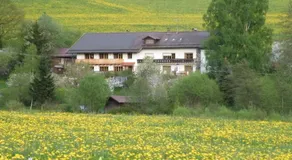 Pension Landhaus Riedelstein - Image 4