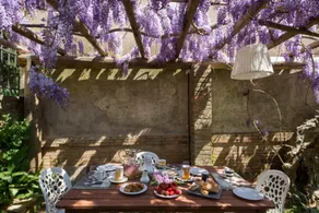 A path of relaxation and history between vineyards and olive trees - Image 5