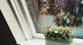 Ferienhaus Kleine Auszeit - Image 4