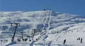 Petterbua - Image 3