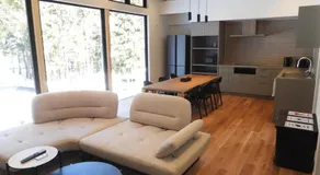 Park Hakuba Luxury 3-Bedroom house 1km to Hakuba Goryu - Image 2