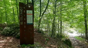 La Tana in Val Resia - Image 4