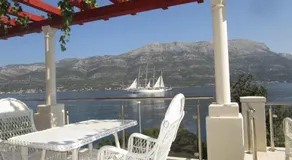 Vila Tea - Image 4
