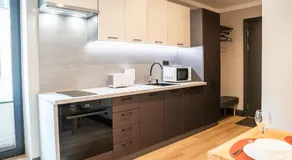 Livonia Central Apartments - Image 4