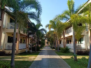The Heart of Pai - Image 4