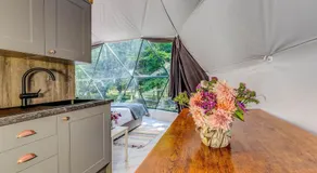 Woodland dome - Image 5