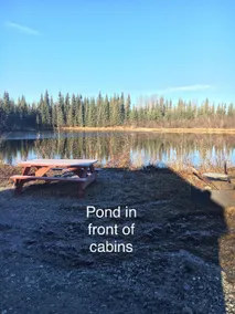 Alaska Log Cabins on The Pond B & B - Image 2