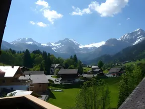 Hotel Wildhorn - Image 4
