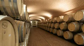 Castello Di Querceto - Image 1