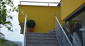 Stella d'Oro - Image 5