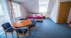 Hotel Elsyn Dvůr - Image 2