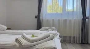 Motel Vatra Bunătăților - Image 2