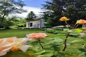 Villa in Bruniquel by Aveyron River - Image 4