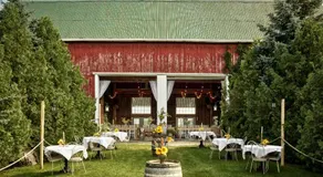 The Eddie Hotel and Farm - Image 4