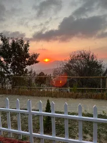JijiVisha Shimla - Image 3
