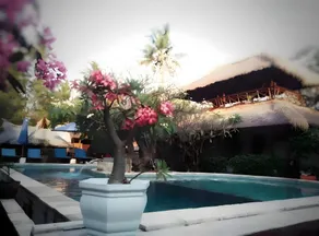 7SEAS Cottages - Image 2