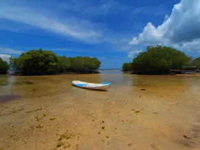 Mangrove Paradise Retreat - Image 5