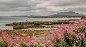 Maisy's Hideaway - Image 5