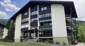 AAA Fewo Bad Kleinkirchheim - Image 3